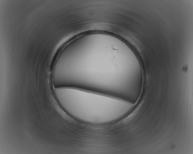 X0000093561029200710150952