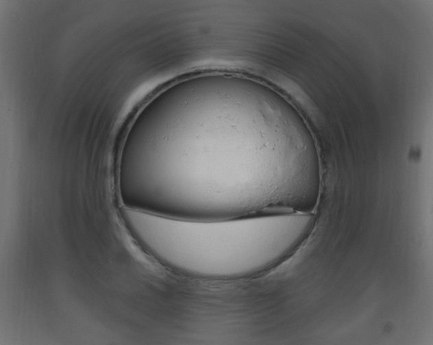 X0000093561030200710150952