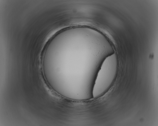 X0000093561031200710150952
