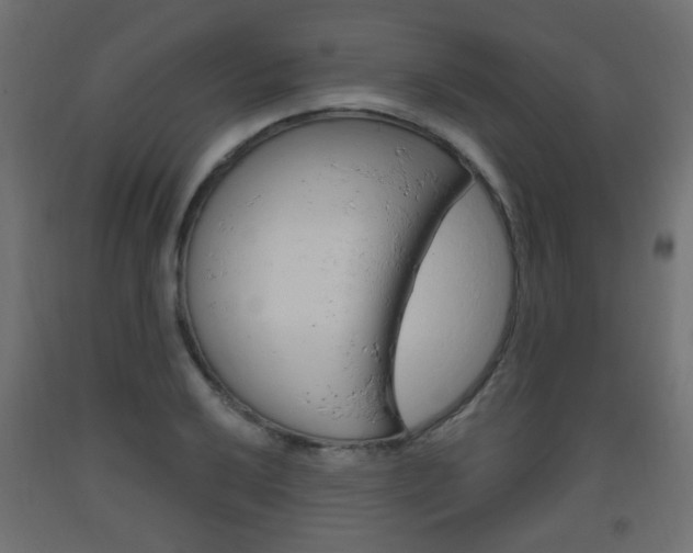 X0000093561032200710150952