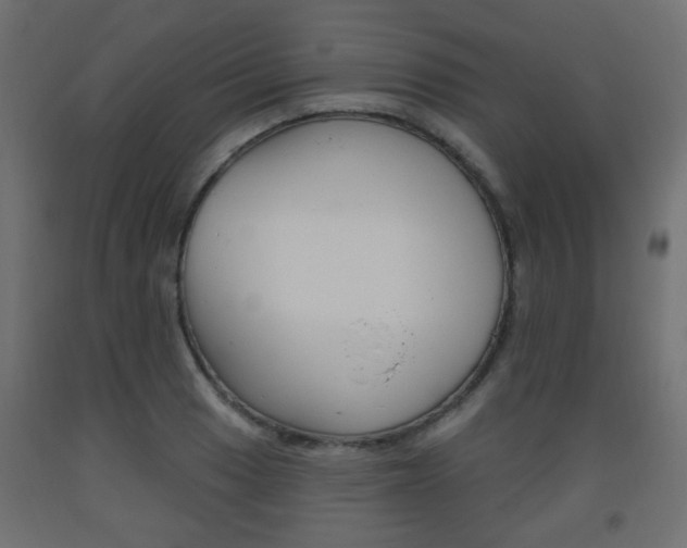 X0000093561033200710150952
