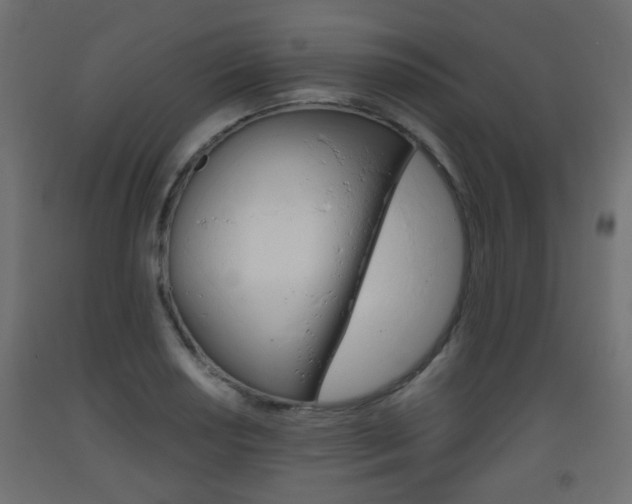 X0000093561034200710150952