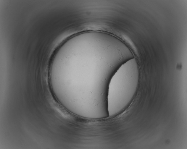 X0000093561035200710150952