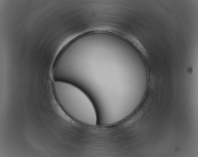 X0000093561036200710150952