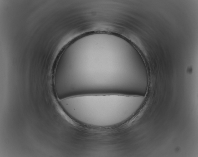 X0000093561037200710150952