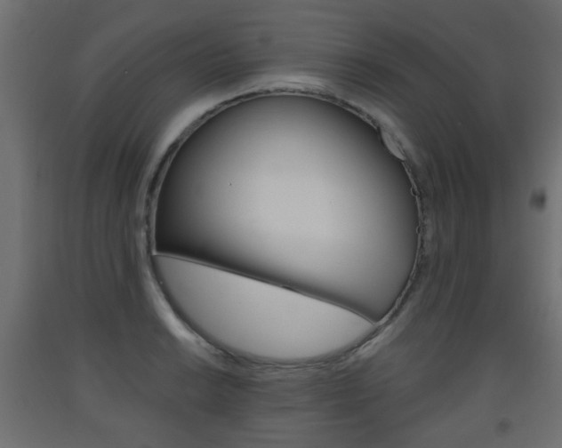 X0000093561038200710150952