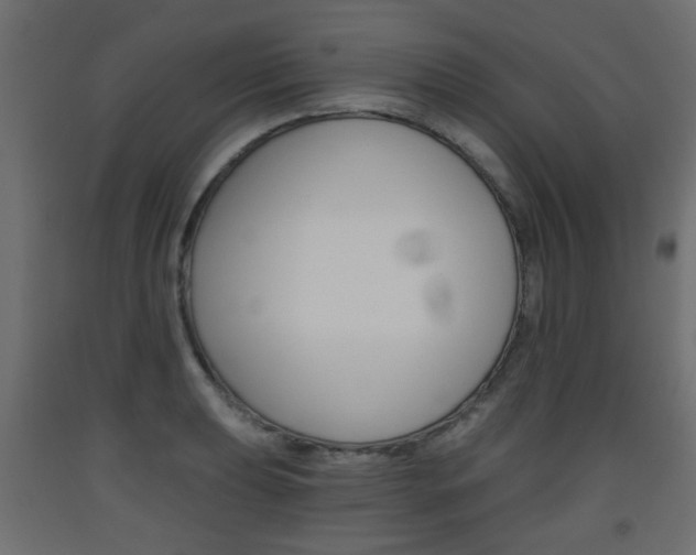 X0000093561039200710150952