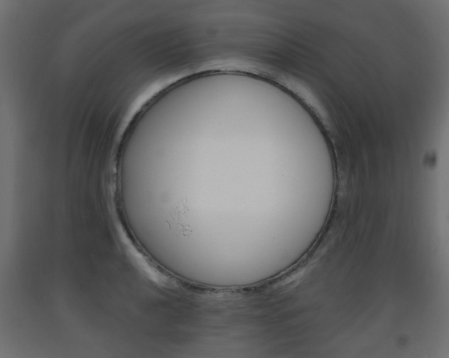X0000093561040200710150952