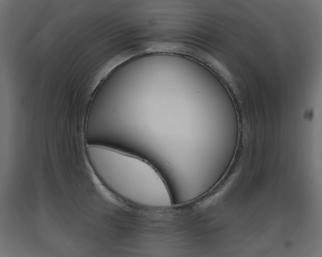 X0000093561041200710150952