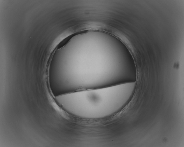 X0000093561042200710150952