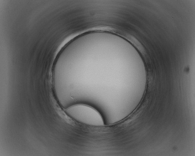 X0000093561044200710150952