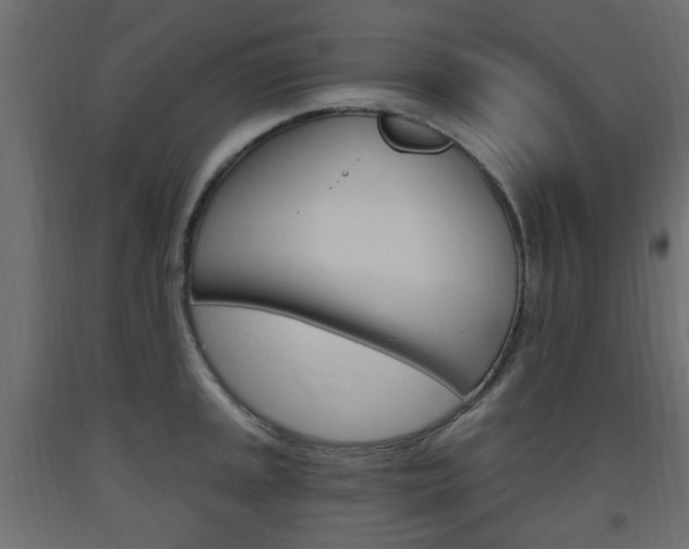 X0000093561045200710150952