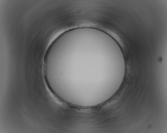 X0000093561047200710150952