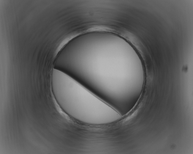 X0000093561049200710150952