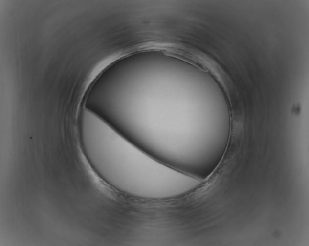 X0000093561050200710150952