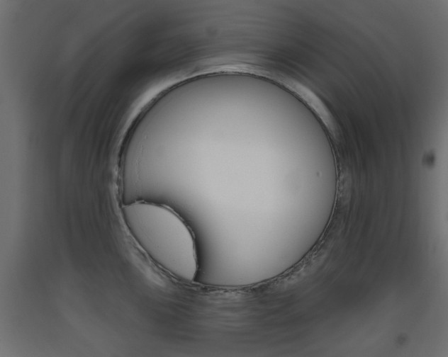X0000093561051200710150952