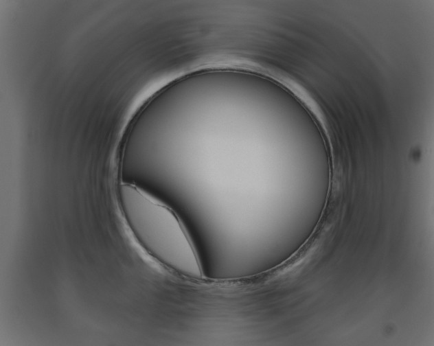 X0000093561053200710150952