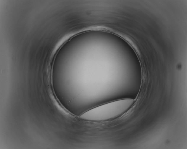 X0000093561054200710150952