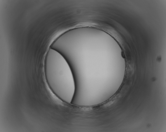 X0000093561055200710150952