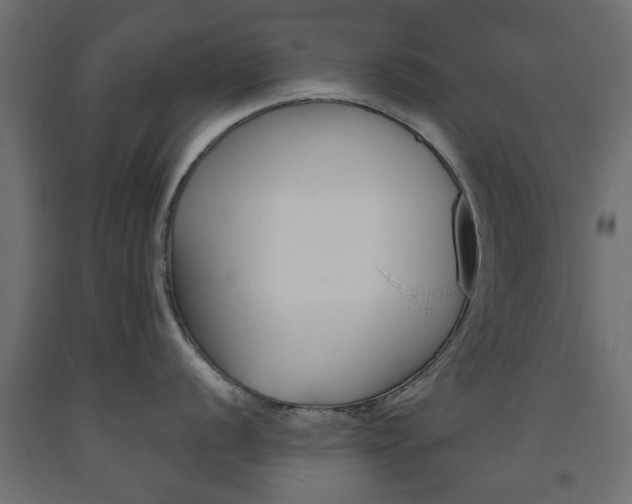 X0000093561056200710150952