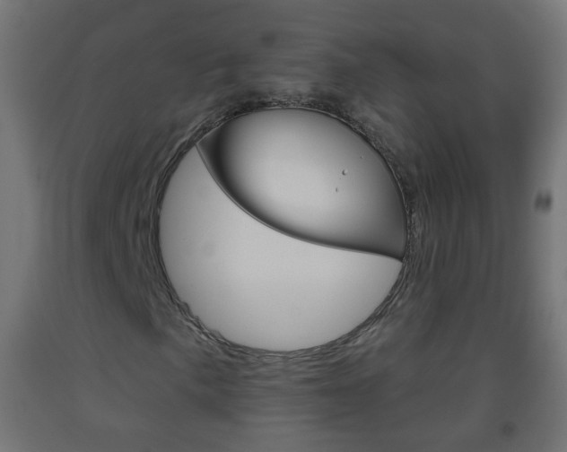 X0000093561057200710150952