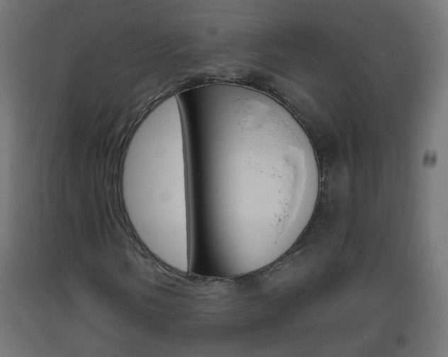 X0000093561058200710150952