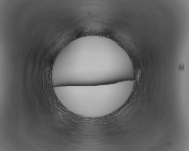 X0000093561059200710150952