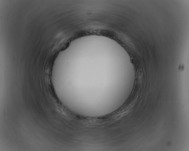 X0000093561060200710150952