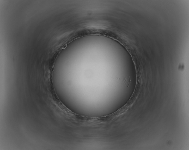 X0000093561061200710150952
