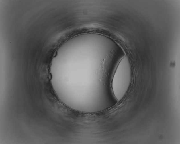 X0000093561062200710150952