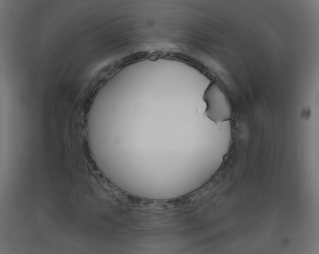 X0000093561063200710150952