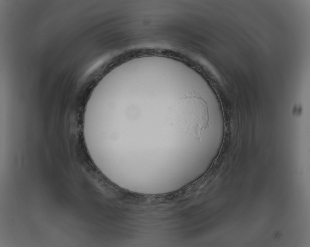 X0000093561064200710150952