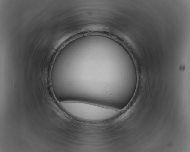 X0000093561065200710150952