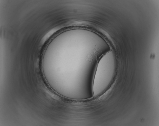 X0000093561066200710150952