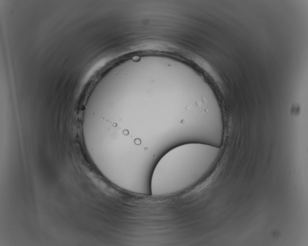 X0000093561067200710150952