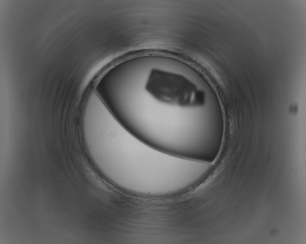 X0000093561069200710150952