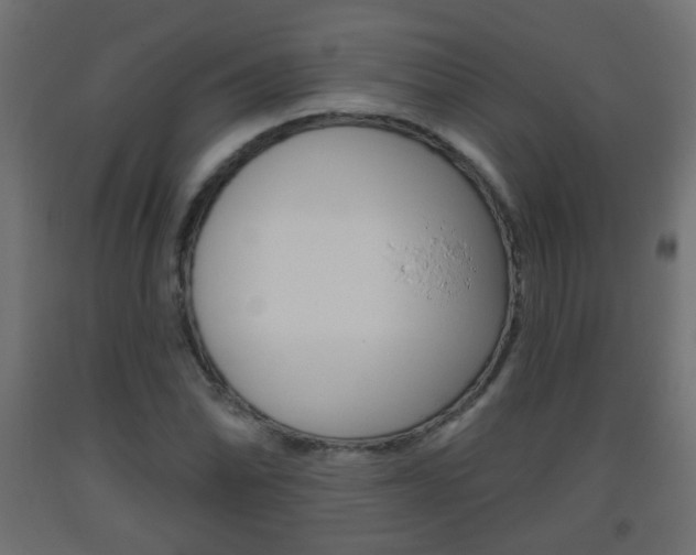 X0000093561070200710150952