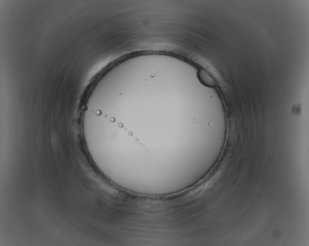 X0000093561071200710150952