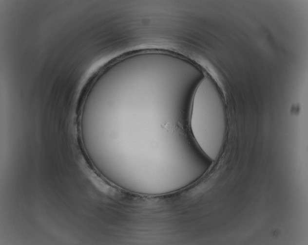 X0000093561072200710150952