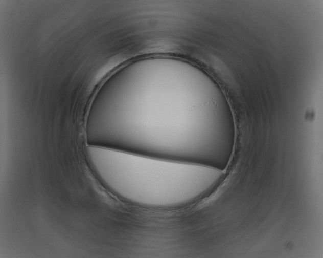 X0000093561073200710150952