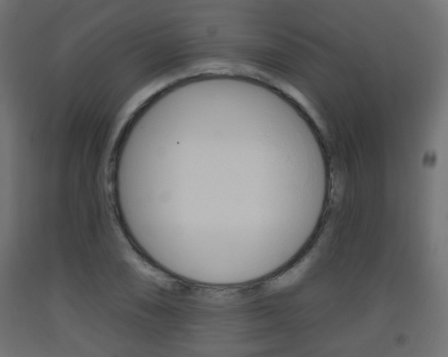 X0000093561074200710150952
