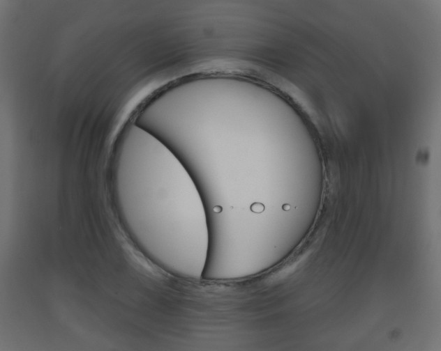 X0000093561075200710150952