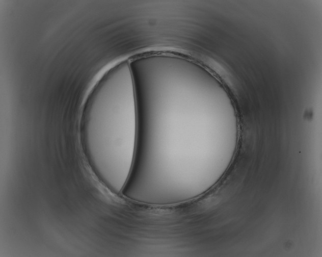 X0000093561076200710150952