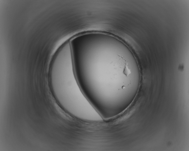 X0000093561077200710150952