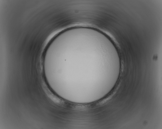 X0000093561078200710150952