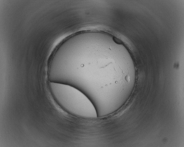 X0000093561079200710150952