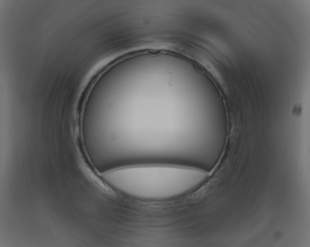 X0000093561080200710150952