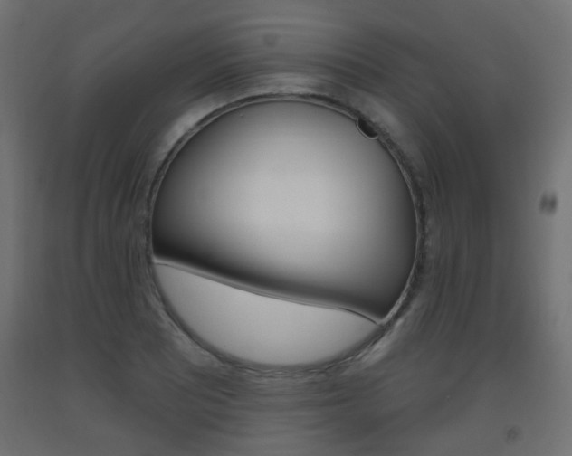 X0000093561081200710150952