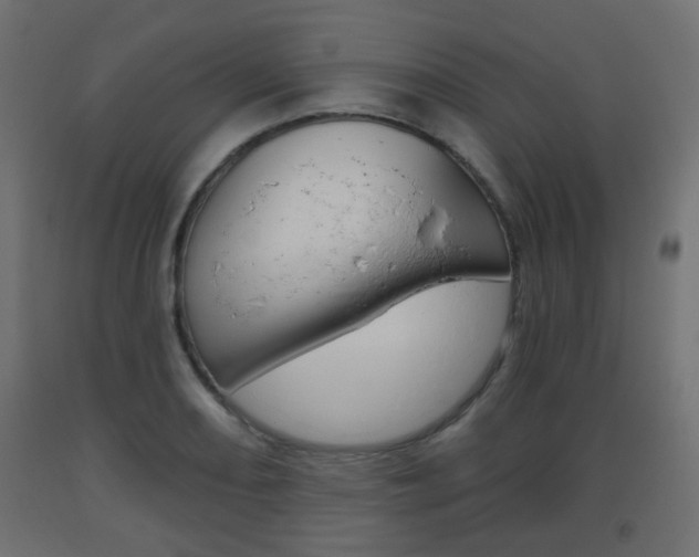 X0000093561082200710150952