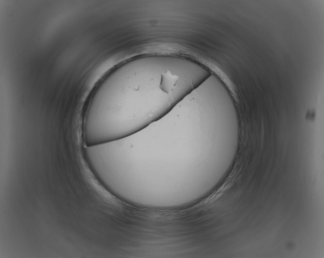 X0000093561083200710150952